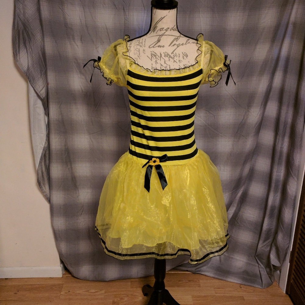 Ladies BumbleBee costumes (2) Glitter wings (1)